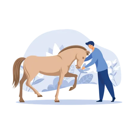 Equestrian person grooming horse Illustration