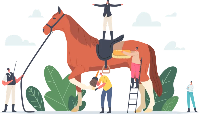 Equestrian Sport Illustration