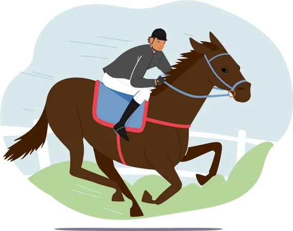 Equestrian Sport and Horse Training  Illustration