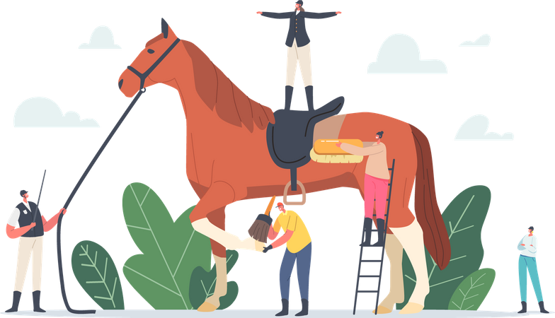 Equestrian Sport  Illustration