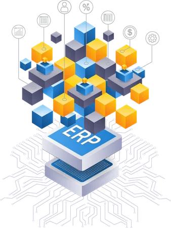 ERP network business developer  Illustration