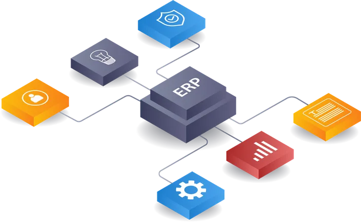 ERP network management infographic  Illustration