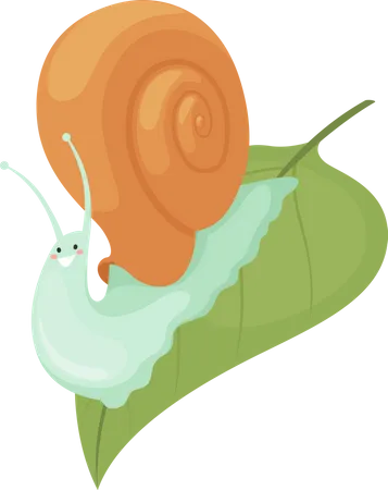 Escargot sur feuille  Illustration