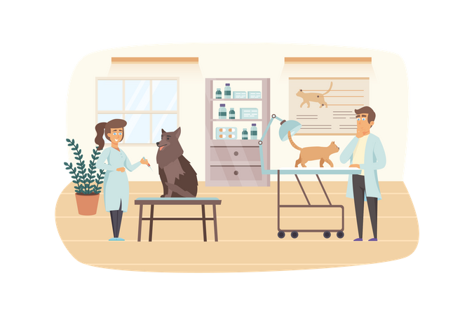 Escena de la clínica veterinaria. Los veterinarios examinan perros y gatos. Interior del consultorio médico. Medicina veterinaria, vacunación de mascotas, concepto de atención médica. Ilustración vectorial de personajes de personas en diseño plano  Ilustración