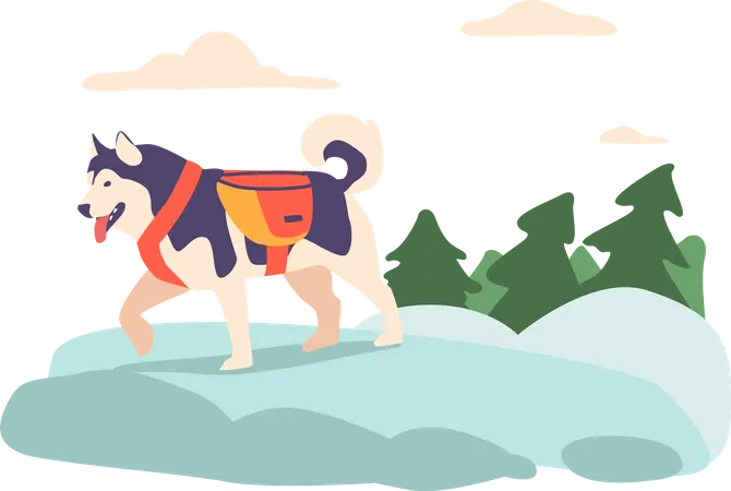 Eskimo dog in mountains  Illustration