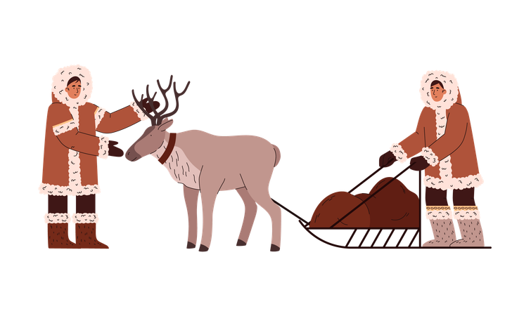 Eskimos driving reindeer harness  Illustration