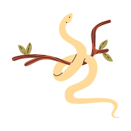 Especies de serpiente amarilla  Ilustración