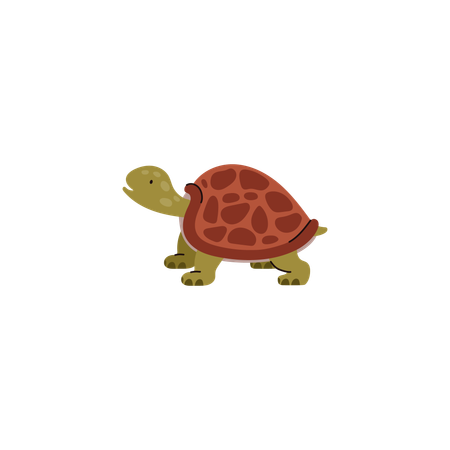 Especies de tortugas  Ilustración