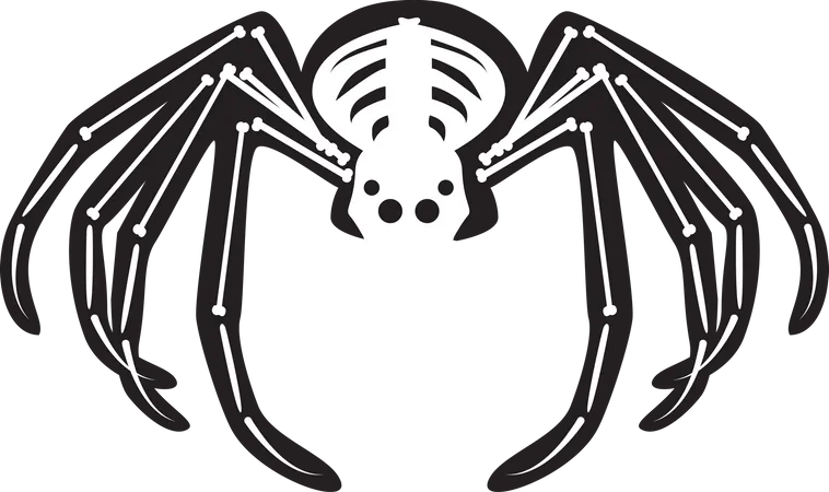 Esqueleto de aranha assustador de Halloween  Ilustração