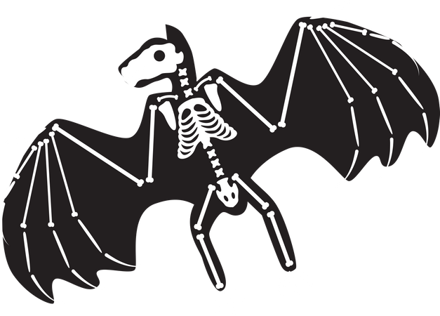 Esqueleto de morcego assustador de Halloween  Ilustração