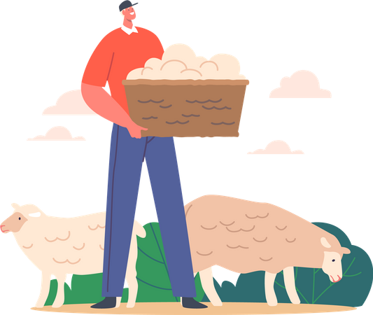 Esquilador sosteniendo cesta con lana de oveja en ganado  Ilustración