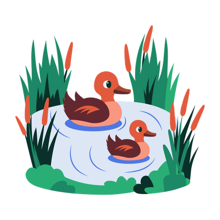 Estanque de los patos  Ilustración