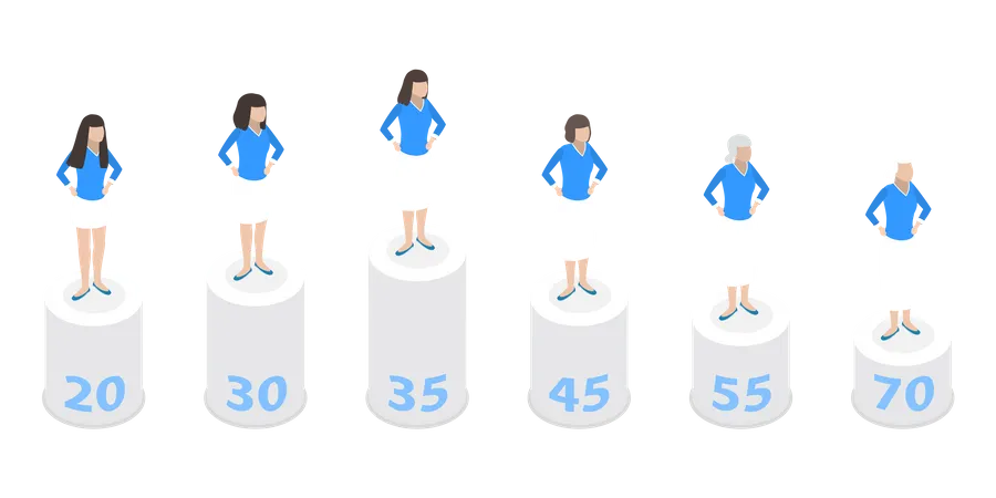 Estrogen Hormone Level  Illustration