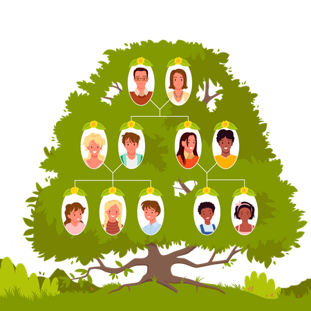 Estructura del árbol genealógico  Ilustración