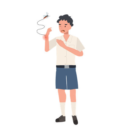 Estudante tailandês com picadas de mosquito coçando a pele no verão  Ilustração