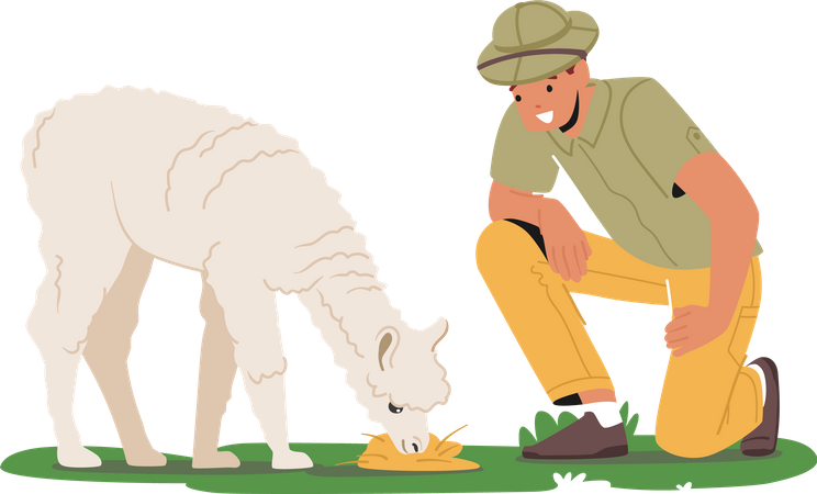 Un zoólogo estudia a un lama en su hábitat natural  Ilustración