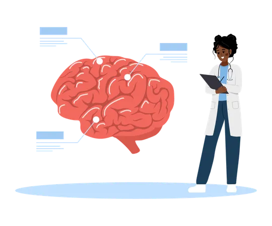 Médica estuda doenças cerebrais  Illustration