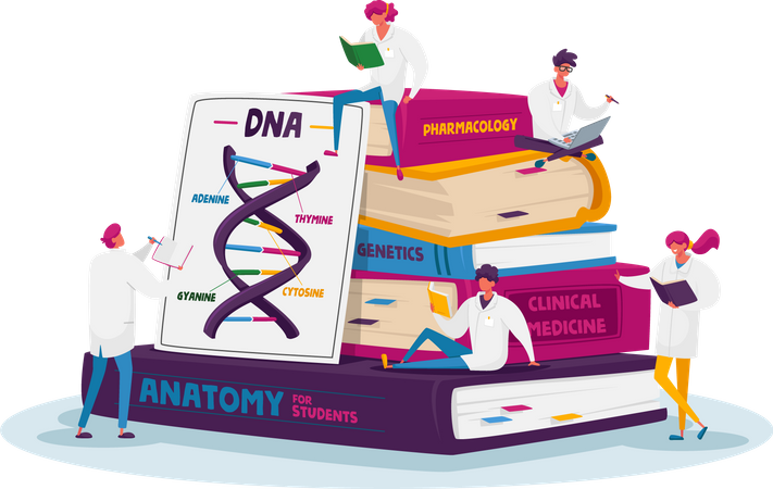 Estudo da estrutura do DNA  Ilustração