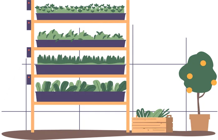 Estufa para cultivo de plantas verdes em ambiente controlado  Ilustração