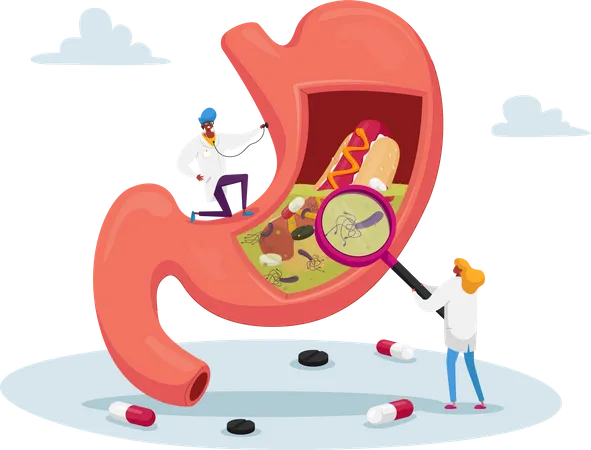 Un médecin étudie les causes des maux d'estomac de la gastrite et de la maladie à Helicobacter  Illustration