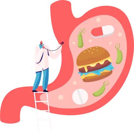 Un médecin étudie les causes des maux d'estomac de la gastrite et de la maladie à Helicobacter  Illustration