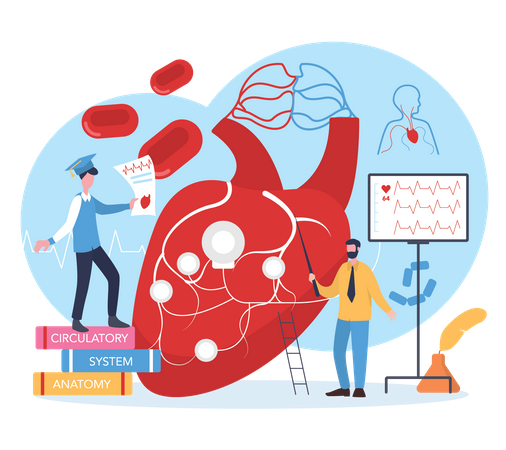 Un scientifique étudie le cœur humain  Illustration