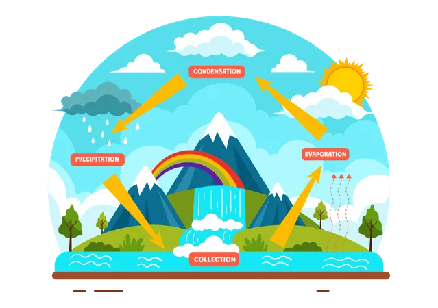 Water Cycle Vector Illustration With Evaporation Condensation Precipitation To Collection In Earth Natural Environment In Flat Cartoon Background Illustration