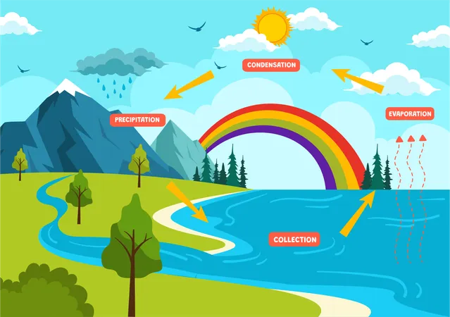 Water Cycle Vector Illustration With Evaporation Condensation Precipitation To Collection In Earth Natural Environment In Flat Cartoon Background Illustration