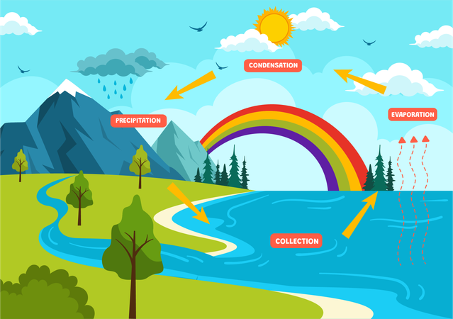 Evaporation Process  Illustration