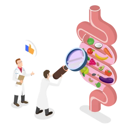 Exame de saúde intestinal  Ilustração