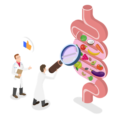 Exame de saúde intestinal  Illustration