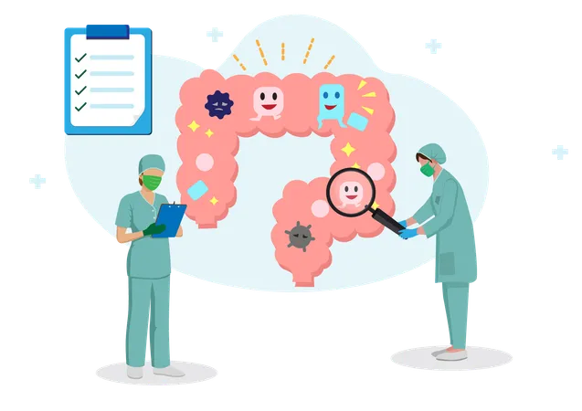 Examination of the gastrointestinal tract  Illustration