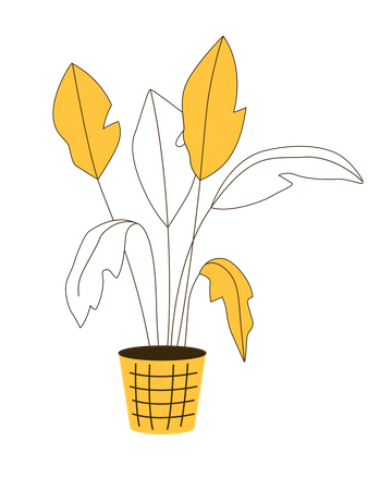 Exotic houseplant in pot  Illustration