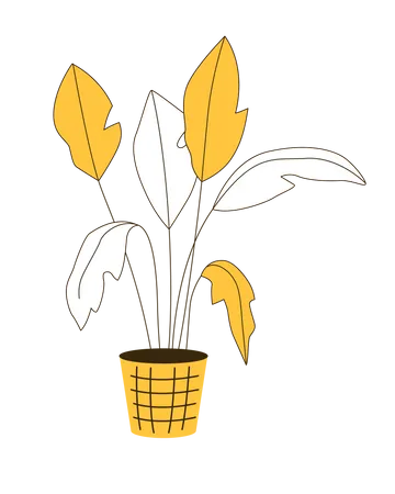 Exotic houseplant in pot  Illustration