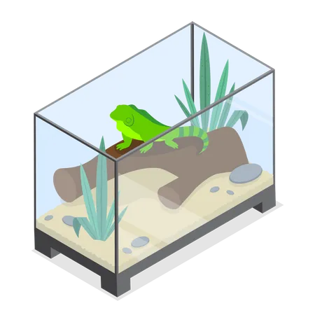 3 D Isometric Flat Vector Illustration Of Exotic Pets Reptiles And Amphibians Care Illustration