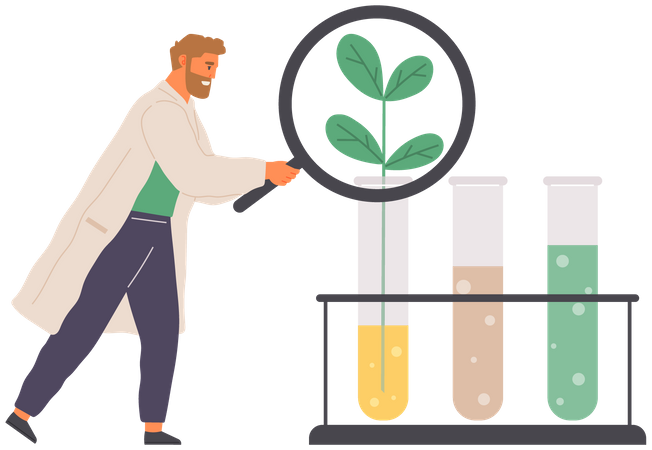 Expérience de microbiologie sur plante  Illustration