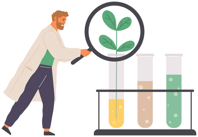 Expérience de microbiologie sur plante  Illustration