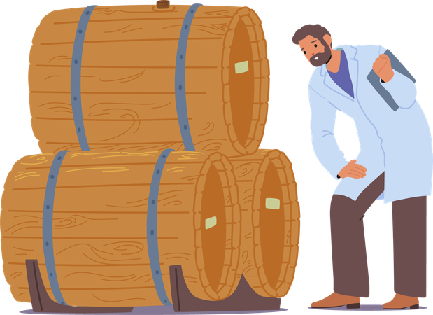 Experto en vinos inspecciona barriles de madera en bodega  Ilustración