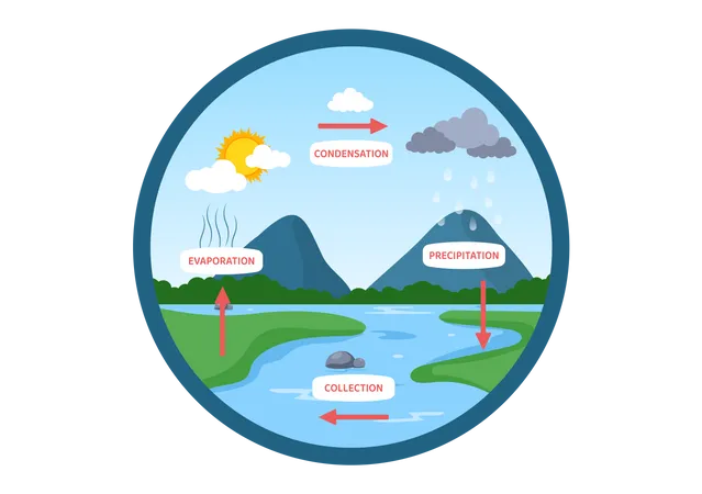 Explanation of water cycle  Illustration