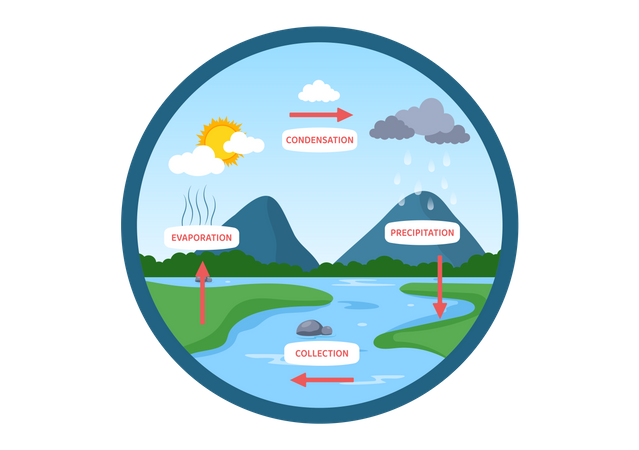 Explication du cycle de l'eau  Illustration