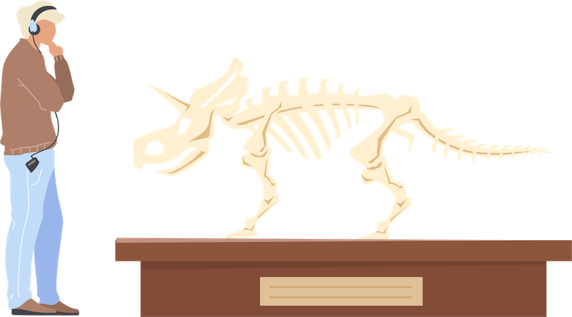 Exposição de paleontologia  Ilustração