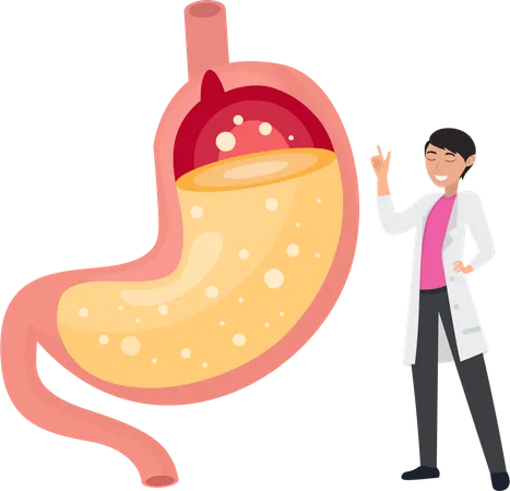 Fachärzte erklären Sodbrennen und Gastritis  Illustration