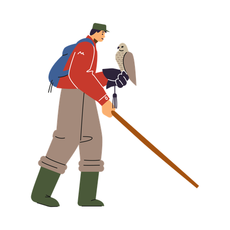 Falconer holding bird of prey on glove with walking stick  Illustration
