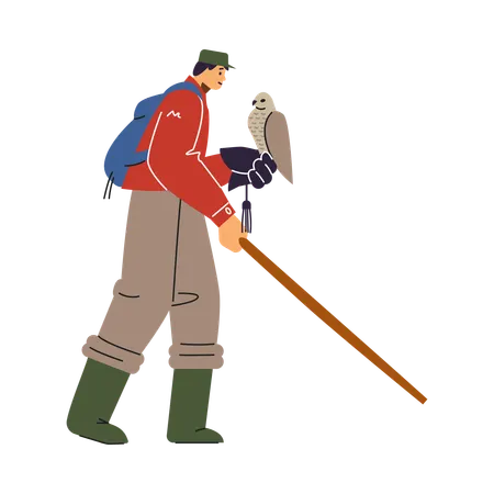Falconer holding bird of prey on glove with walking stick  Illustration