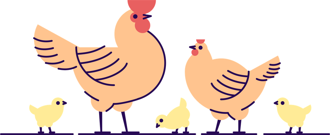 Familia de pollos  Ilustración