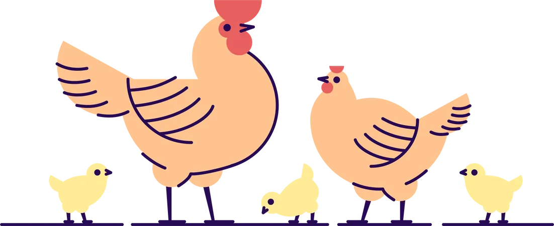 Familia de pollos  Ilustración