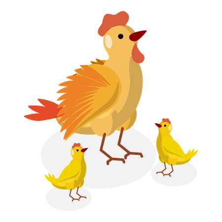 Familia de pollos en granja de pollos  Ilustración