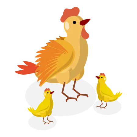 Familia de pollos en granja de pollos  Ilustración