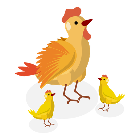 Famille de poulets dans un élevage de poulets  Illustration