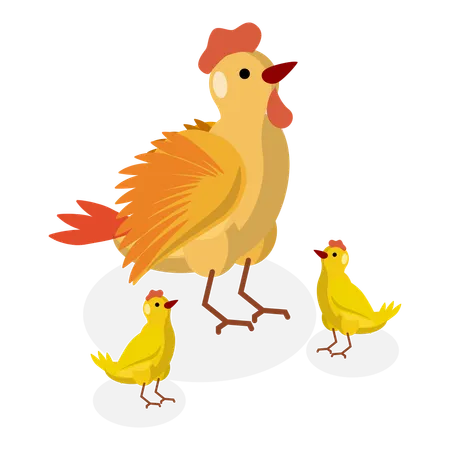Famille de poulets dans un élevage de poulets  Illustration
